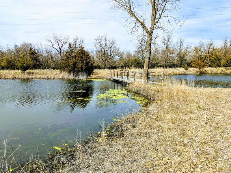March: Sandhill Crane Migration, Kearney and Grand Island Area