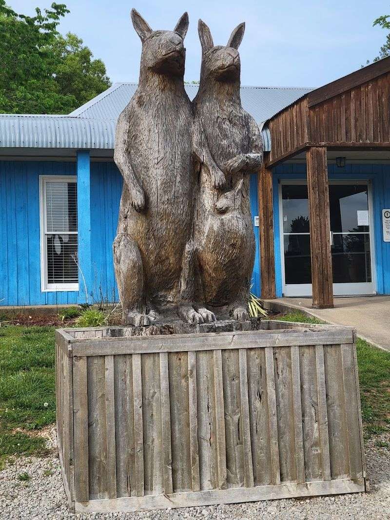 Well-Maintained, Clean, And Family-Friendly Grounds