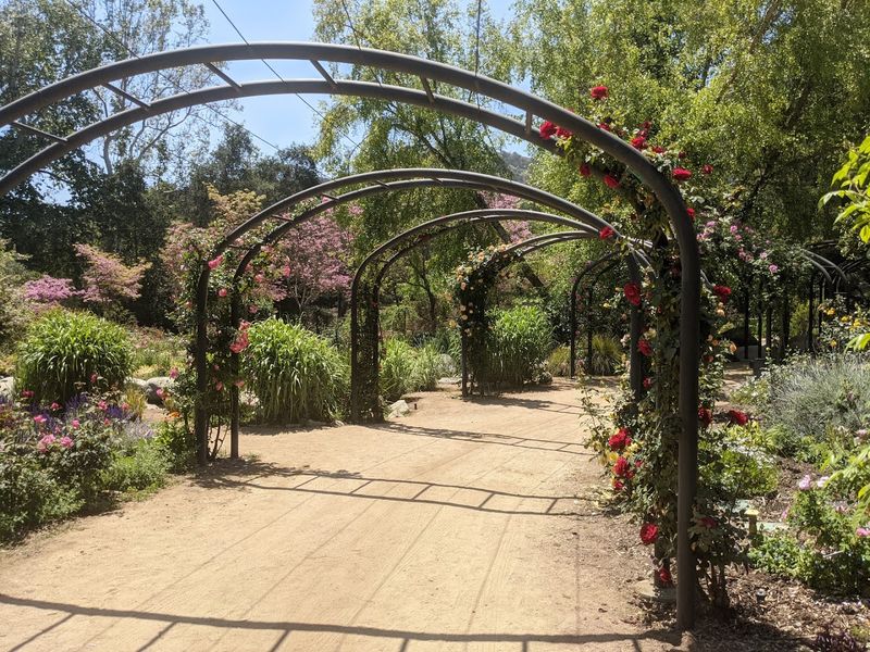 Descanso Gardens, La Cañada Flintridge