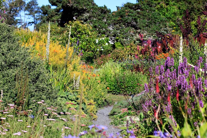 Mendocino Coast Botanical Gardens, Fort Bragg