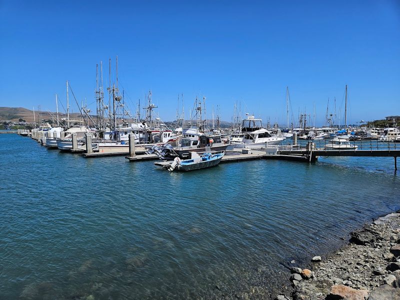Spud Point Crab Company