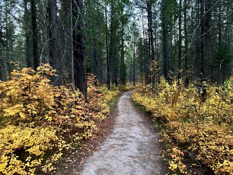 Mesa Falls Nature Trail