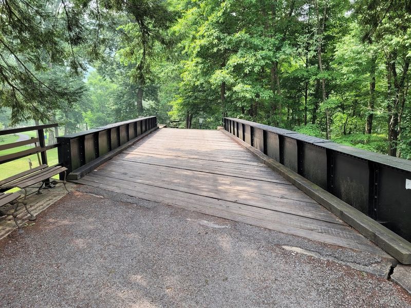 This Peaceful West Virginia State Park Feels Like Another World Entirely - Decor Hint Wildlife And Birdwatching Opportunities Worth Planning Around
