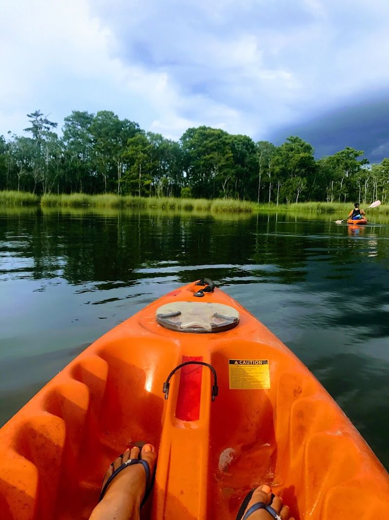 This Underrated Florida Town Feels Wonderfully Different From The Rest - Decor Hint Paddling Through Pristine Wilderness