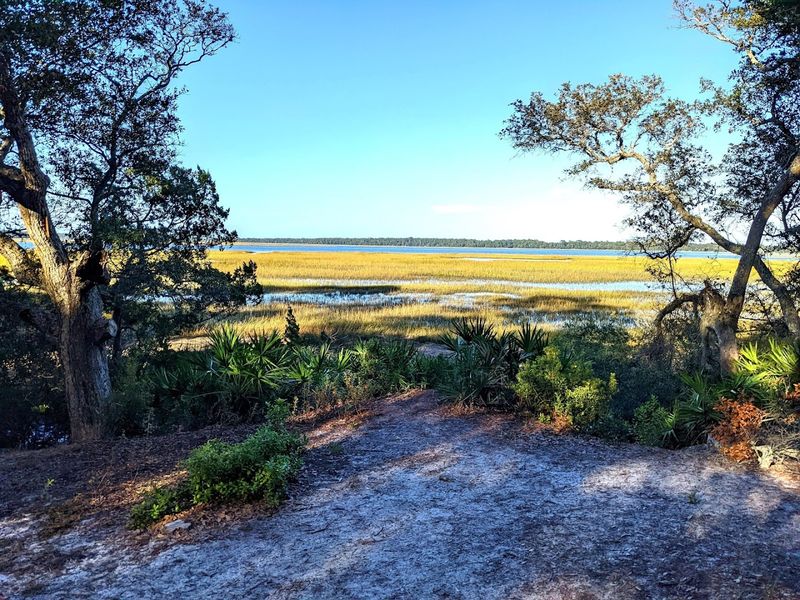Point Peter Road Birding And Salt Marsh Scenic Drive