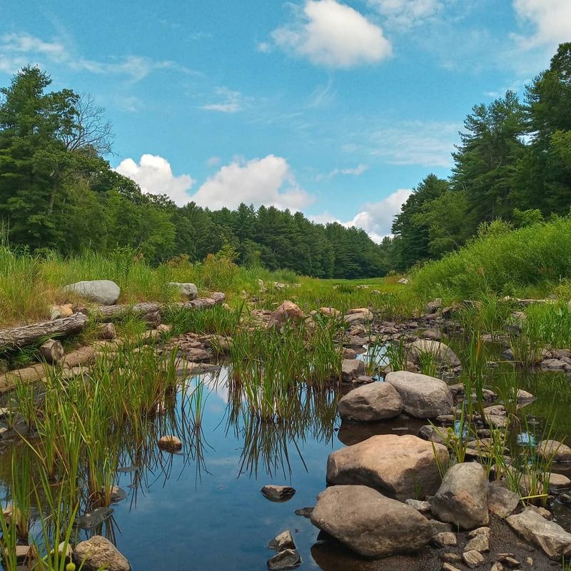 Wildlife And Nature Worth Watching