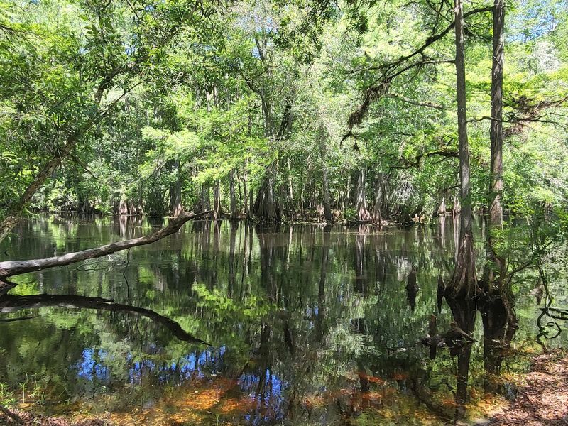 Wildlife Sightings That Will Stop You Mid-Ride