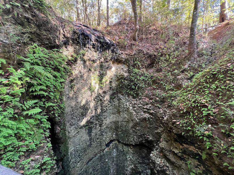 One Of Florida's Most Unexpected Waterfall Spots Is Hiding Along This Trail - Decor Hint The Sinkhole Trail Leads You Through Ancient Limestone Country
