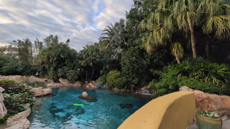 Discovery Cove