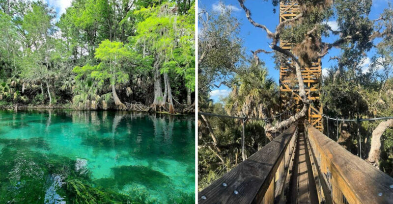Florida Day Trips With Incredible Scenery That Cost Under 65 Dollars