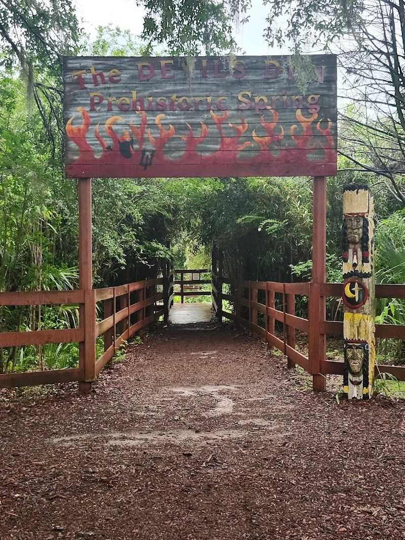 Florida Has A Natural Pool So Ancient And Otherworldly That Swimming In It Feels Like Diving Into Another Era - Decor Hint A Window Into Deep Time