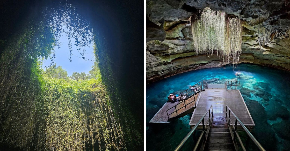 Florida Has A Natural Pool So Ancient And Otherworldly That Swimming In It Feels Like Diving Into Another Era - Decor Hint
