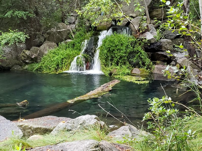 Fish Windows, Creek Paths, And Free Family Fun