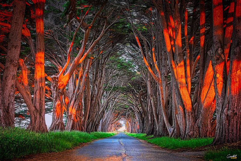 Photography Opportunities That Are Hard To Replicate