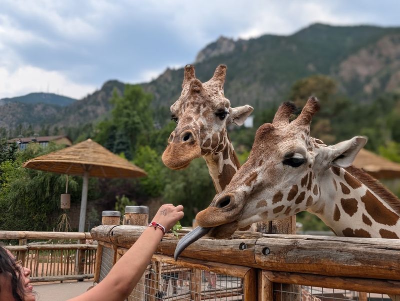 Interactive Experiences Worth Every Penny