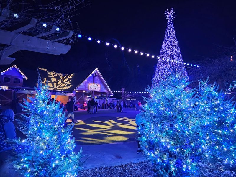 Seasonal Festivals Worth Planning Around