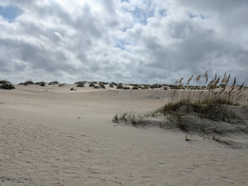 Pea Island National Wildlife Refuge