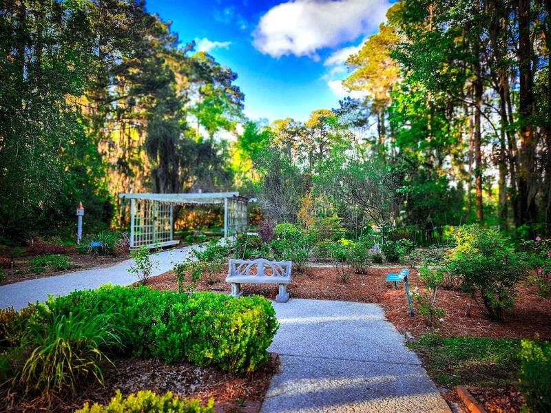 Savannah Botanical Gardens