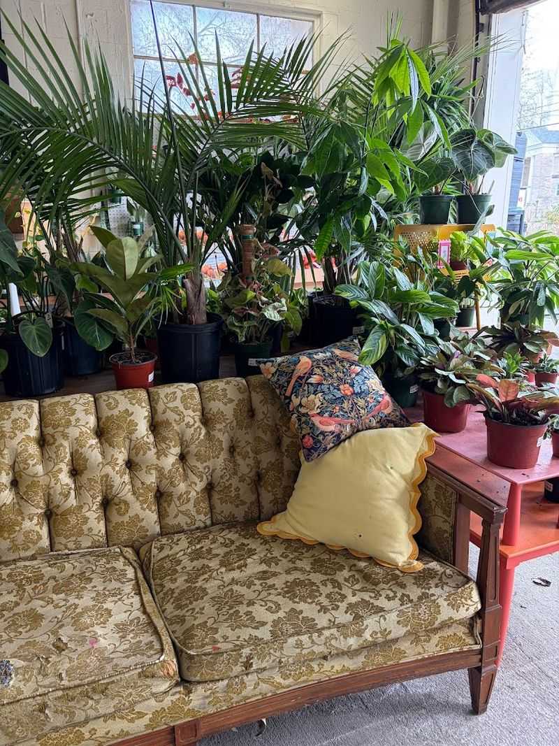 16 Garden Shops In Kentucky That Are Worth A Spring Road Trip - Decor Hint Above the Dirt Garden Shop