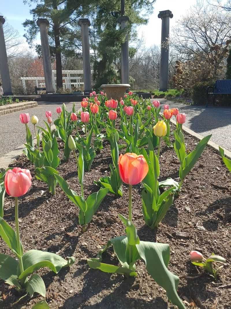 Seasonal Flower Shows That Keep Regulars Coming Back