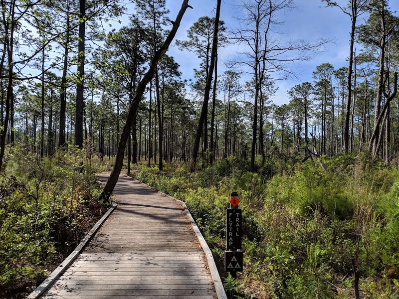 12 North Carolina Summer Day Trips That Are Big On Fun And Easy On The Wallet - Decor Hint Coastal Trails, A Marina, And Summer Air Without A Big Spend