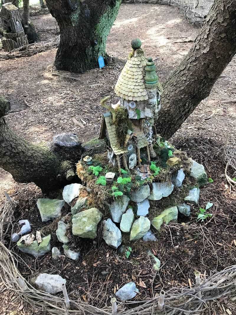 The Enchanting Fairy Forest That Kids Absolutely Love