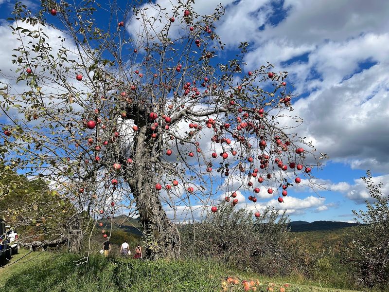 Storytelling Hayrides And Mountain Heritage