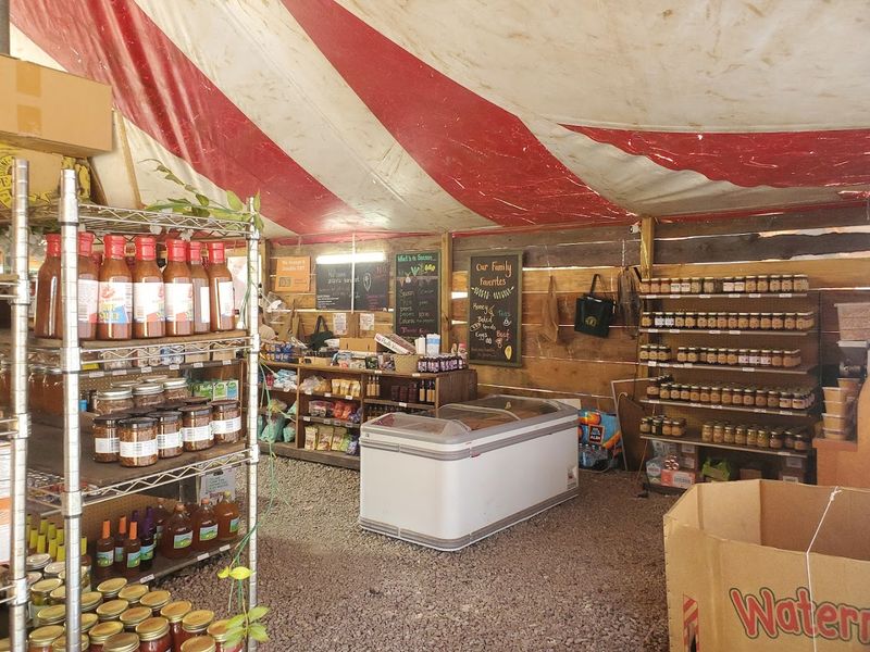 15 Farmers Markets In Georgia That Turn Your Lazy Saturday Morning Into The Best Part Of The Weekend - Decor Hint Atlanta Harvest