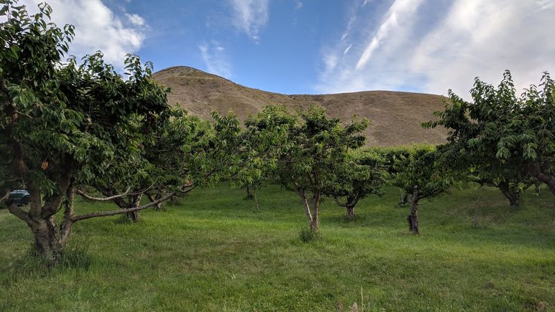 Pick-Your-Own Rows With A Family-Farm Feel