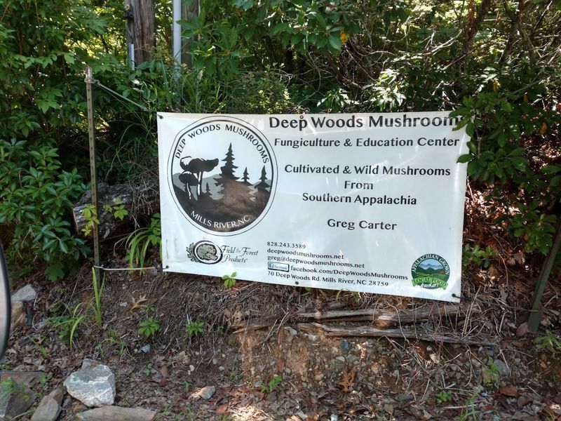 Hands-On Classes And Educational Events