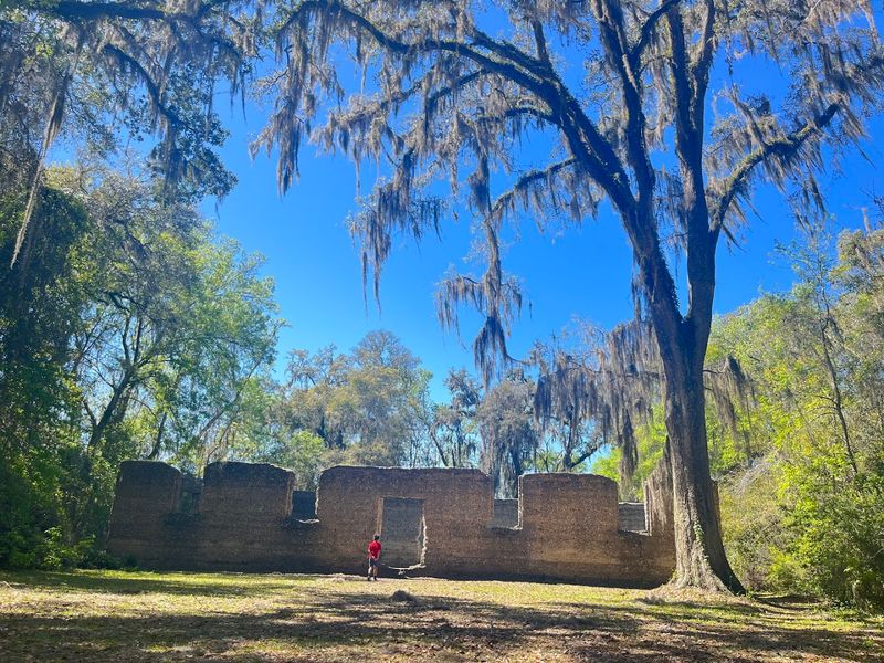 The Historic District And Antebellum Architecture