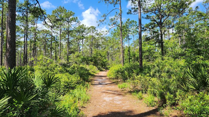 Crooked River State Park's Kayaking And Nature Trails