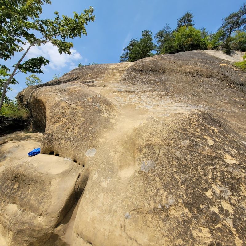 Trail Navigation Tips And App Recommendations