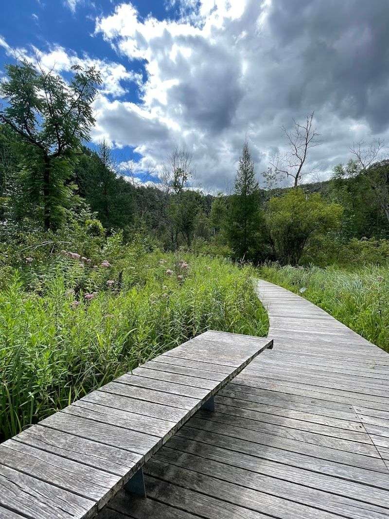 These 10 Scenic Minnesota Getaways Cost Less Than A Fancy Dinner - Decor Hint Eloise Butler Wildflower Garden