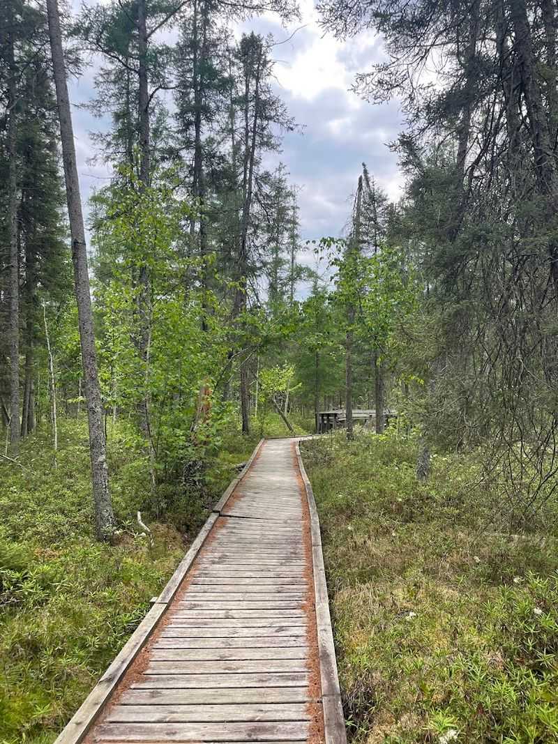 These 9 Minnesota Campgrounds Belong On Every Summer Bucket List - Decor Hint Mille Lacs Kathio State Park