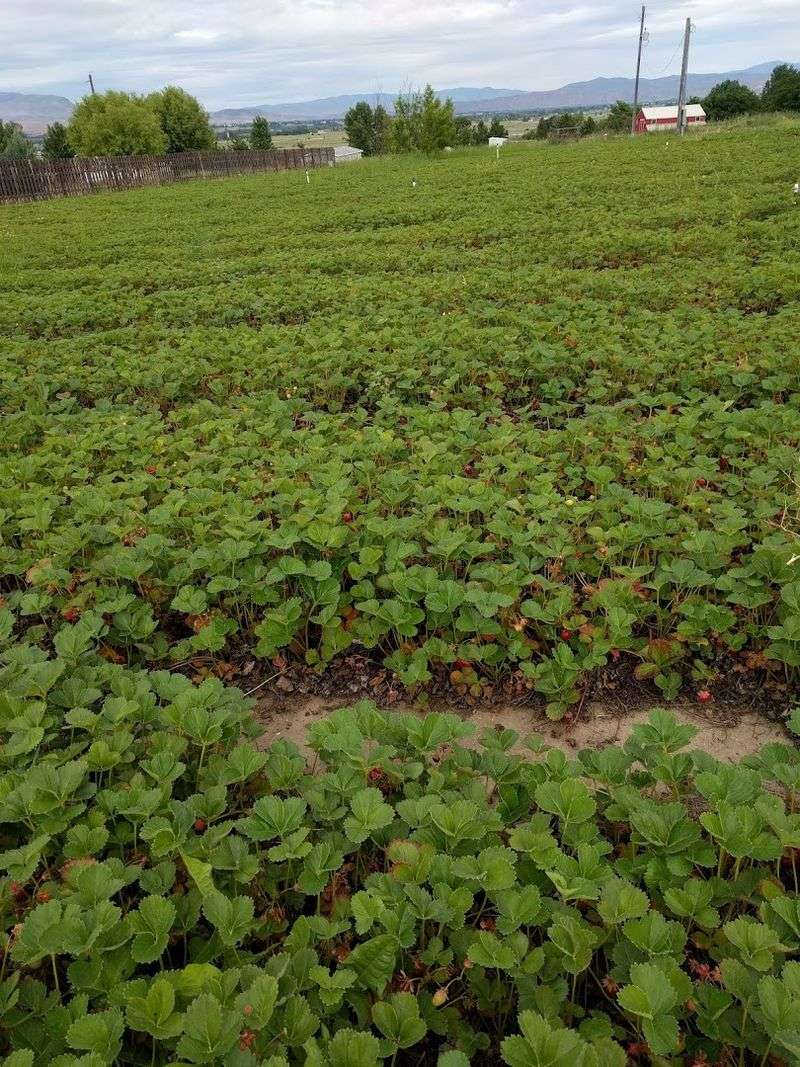 Tips For A Great Farm Visit