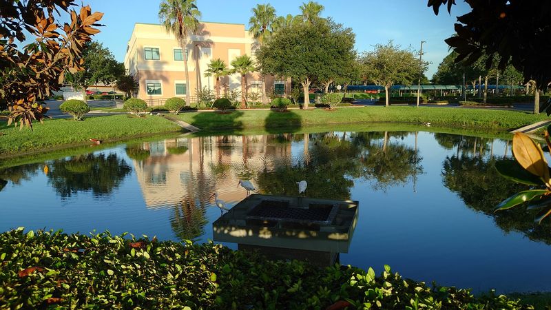 These Affordable Florida Cities Where Lower Costs Still Go Further - Decor Hint Lakeland