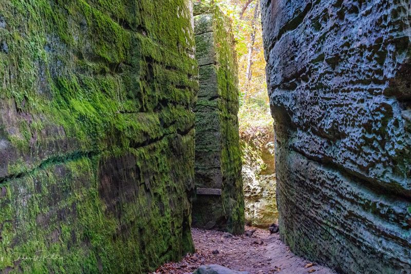 13 Illinois Day Trips That Offer Amazing Scenery For Less Than $65 - Decor Hint Giant City State Park