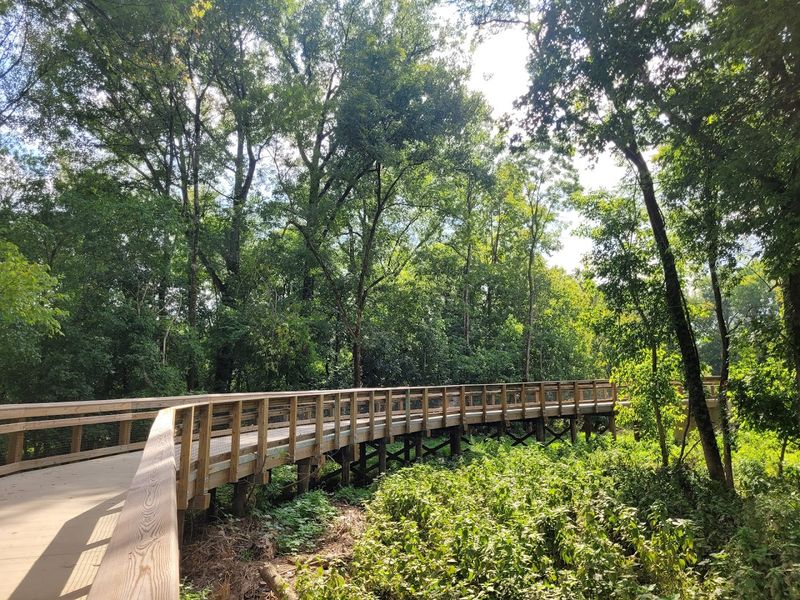 Lower McAlpine, McMullen Creek And Four Mile Creek Greenways