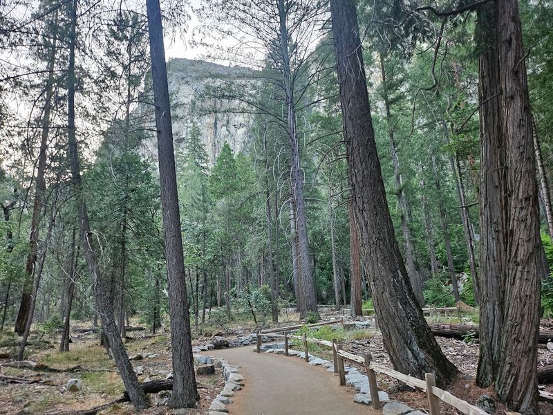Bridalveil Fall Trail, Yosemite National Park