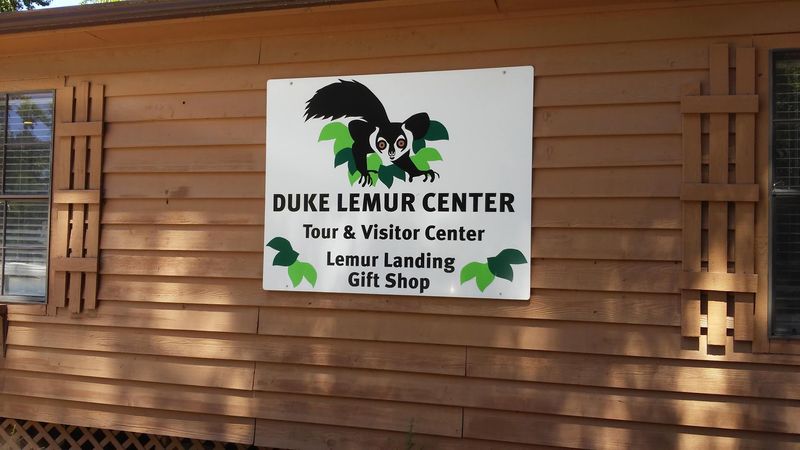 The Gift Shop And Visitor Center