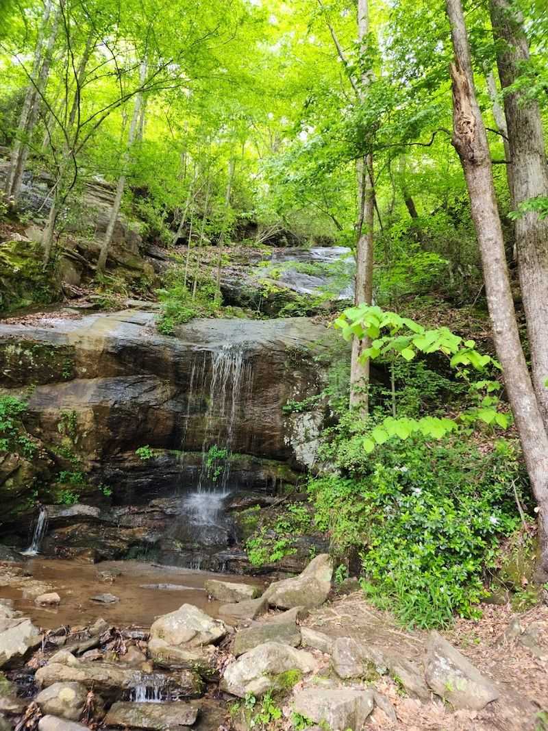 A Visit Worth Combining With Other Local Stops