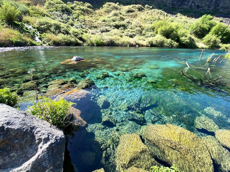 Swimming In The Cold Spring-Fed Pond