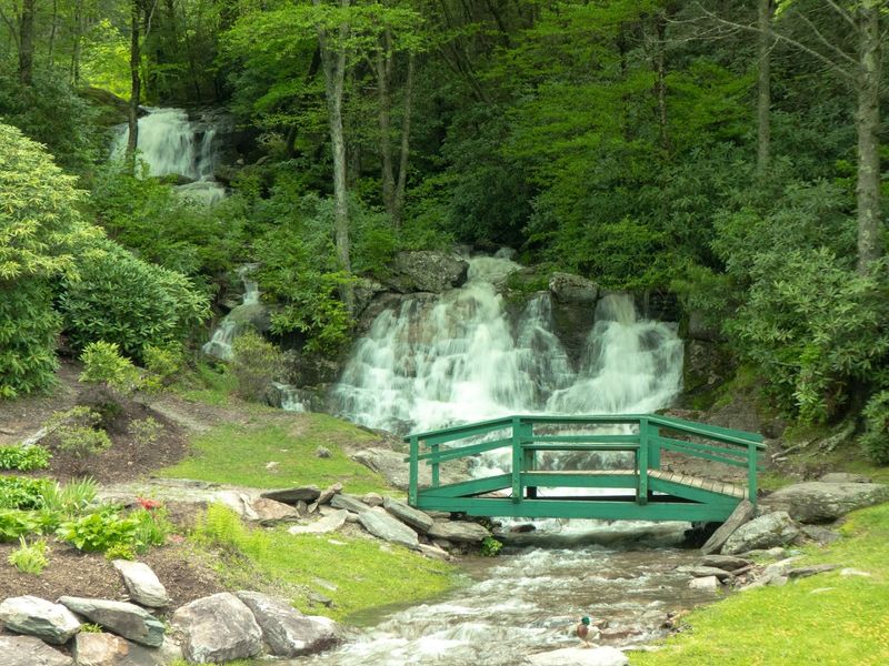 The Trail And What To Expect