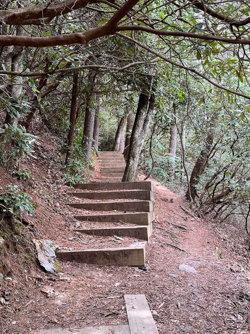 Trail Difficulty Breakdown