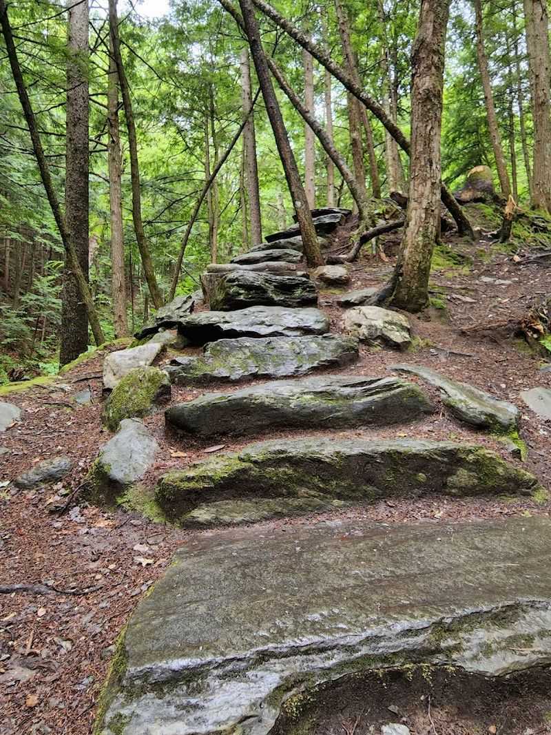 The Trail Experience Itself