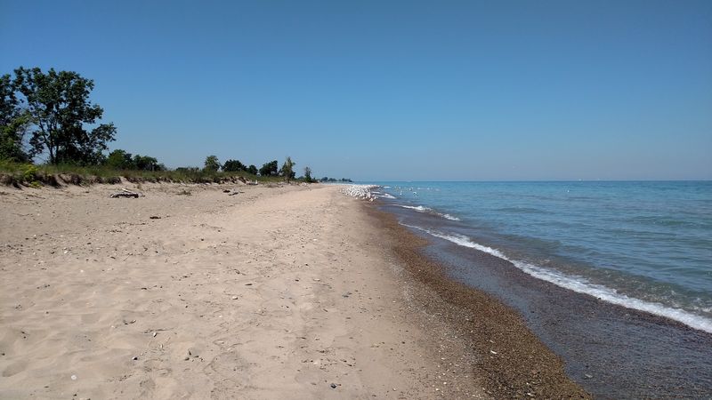 13 Illinois Day Trips That Offer Amazing Scenery For Less Than $65 - Decor Hint Illinois Beach State Park