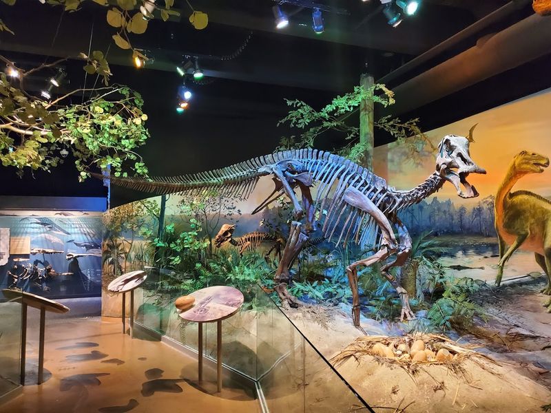 12 North Carolina Summer Day Trips That Are Big On Fun And Easy On The Wallet - Decor Hint Free Indoor Fun For The Hottest Summer Afternoons