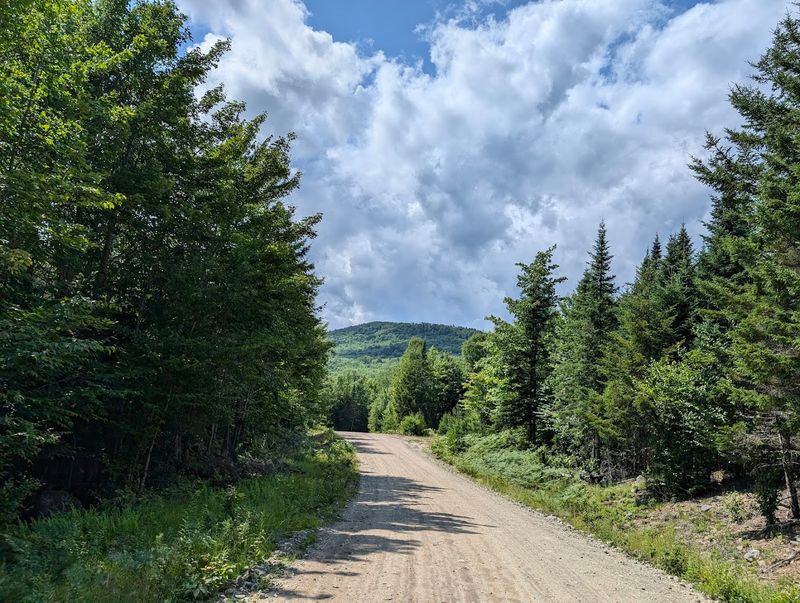The Best Wildlife Experiences In Maine Are Hiding In These Stunning Locations - Decor Hint Katahdin Woods And Waters National Monument