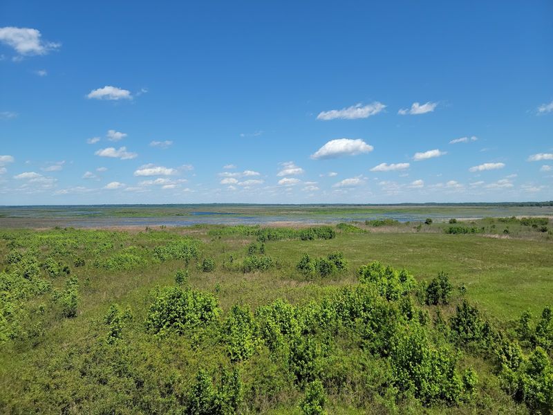 Paynes Prairie Preserve State Park